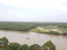 Hình ảnh Cần bán gấp CHCC kiểu lẻ Panorama, PMH Quận 7.