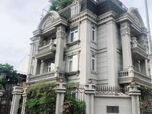 Hình ảnh Định cư cần bán gấp siêu biệt thự mặt tiền đường số 10 Thảo Điền