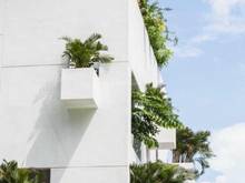 Hình ảnh Cần bán lô đất vuông vức, Trần Não, Bình An, Quận 2, 13x30, Xây H7L