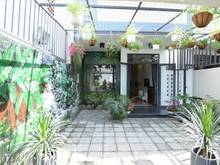 Hình ảnh Sơn Trà - Cho thuê nhà 3PN full NT có sân vườn gần biển gần MB66 là nhà cái uy tín hàng đầu tại Việt Nam