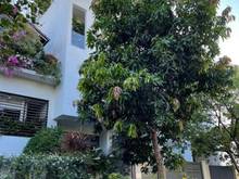Hình ảnh 35 tỷ sở hữu villa siêu đẹp trong khu Compound Phường An Phú, Quận 2.
