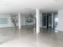 Hình ảnh Cho thuê tòa nhà đường Tống Văn Trân, phường 5, quận 11 dtsd 1380m2