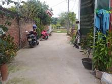 Hình ảnh em cần bán đất đồng lạc, tiên dược, sóc sơn, hà nội. giá nhỉnh 1