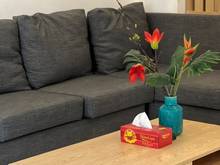 Hình ảnh Cho thuê nhà khu An Thượng Gần biển 2 tầng 2PN sân vườn