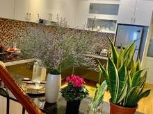 Hình ảnh Nhà CX phú lâm B - ngay phố ẩm thực 4x16m - 4 tầng - 7,55 tỷ