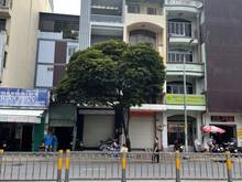 Hình ảnh Nhà Cho Thuê Nguyễn Trọng Tuyển, P1, Tân Bình. 7 x21m. 180tr