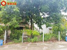 Hình ảnh Bán nhà đường số 43 - 164m2 - 9.8x16 - 26m2 thổ cư - xã Tân Thông Hội