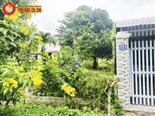 Hình ảnh Bán đất 2 mặt tiền đường Đỗ Đăng Tuyển - 240m2 - 4x60 - 183m2 thổ cư