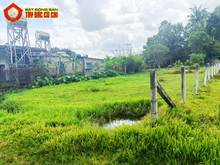 Hình ảnh Bán đất 1/ đường 755 - 375m2 - 12x30 - 300m2 thổ cư - xã An Nhơn Tây