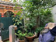 Hình ảnh Villa mini đường Phạm Ngọc Thạch, Q.3 cần cho thuê.