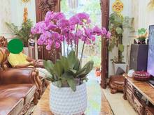 Hình ảnh Bán nhà Lương Yên, thang máy, tặng nội thất 55m, 5 tầng, 11 tỷ