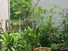 Hình ảnh chủ giao bán 67m đất ngõ phố HOANG DIỆU thông ra HUD SƠN TÂY.giá hơn1t