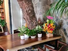 Hình ảnh Cần bán Biệt thự đường Võ Thị Sáu, Phường 7, Diện tích 270m, Giá 72 Tỷ