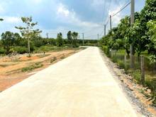 Hình ảnh Bán vườn xoài 1241m2, hai mặt tiền, đường bê tông, nở hậu.