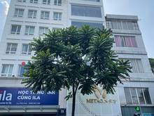 Hình ảnh Hiếm mặt phố quyền lực phố huế, hàng bài, 250m2, 8 tầng, mt 8m, 225