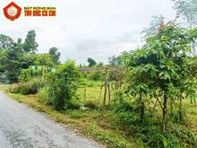 Hình ảnh Bán đất đường số 484 - 1096m2 - 24x54 - 247m2 thổ cư - xã Phú Hòa Đông
