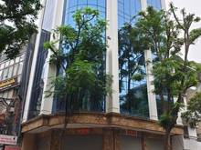 Hình ảnh Cho thuê tòa nhà văn phòng tại Mễ Trì 120m x 8 tầng- mới, thông sàn.