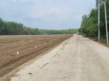 Hình ảnh e còn lô 100m2 tân hiệp phú giáo đất có skc