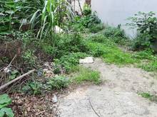 Hình ảnh Bán 50m2 Đất Quang Tiến, Lô Góc, Ngõ Ô tô i10, Thông Thoáng, giá 3,55t