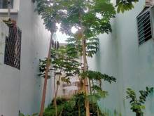 Hình ảnh Lô đất lọt khe Cát Tường Phú Nguyên, giá 1ty480