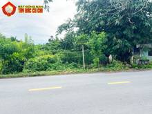 Hình ảnh Bán đất đường Nguyễn Thị Rành - 347m2 - 13x30 - 100m2 thổ cư - Củ Chi