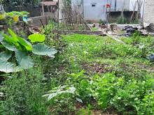 Hình ảnh Bán 50m2 Đất Tây Mỗ, Lô Góc, Vuông Vắn, MT Rộng, Thoáng Mát