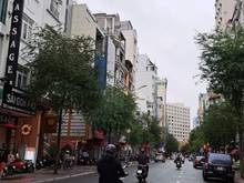 Hình ảnh Giá RẺ ! Cho thuê GẤP MT Lê Thánh Tôn Quận 1 lề 6m 4 Lầu MỚI 100% .
