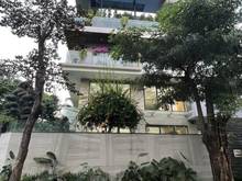 Hình ảnh Cần bán villa đường số 43 - Quốc Hương, Thảo Điền, quận 2.