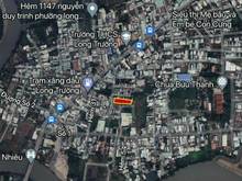 Hình ảnh bán đất 1000m2 full thổ giá rẻ Quận9