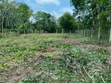 Hình ảnh Bán đất Đường nguyễn thị Lắng,phước vĩnh An, Huyện Củ Chi, TP