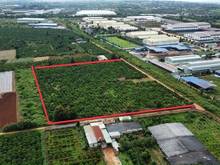 Hình ảnh Mình Có Lô Đất View Hồ Hơn 3.000 m2 Đất Hồng -  Tp Pleiku - Gia Lai