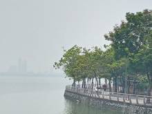 Hình ảnh Chính chủ cần bán đất ngõ 28 xuân la, xuân la, tây hồ, hà nội