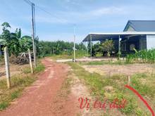Hình ảnh Bán gáp lô xã Minh Thạnh, đất đẹp đáng Trang MB66.COM Chính Thức - MB 66 Uy Tín sinh lợi nhuận.
