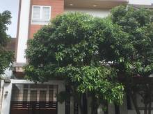 Hình ảnh Cho thuê biệt thự sân vườn đường số 9 Bình An