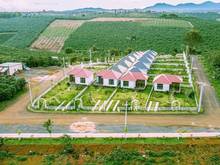 Hình ảnh Đất Thổ Cư Bảo Lộc. DT: 1000m2 Giá 2,6 tỷ. Đường 8M