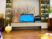 Hình ảnh Bán nhà Phạm T Tài, Trần Q Hoàn, Cầu Giấy 52m2, 5 tầng, Mt 5m, 11,2 tỷ