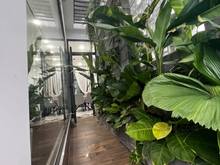 Hình ảnh Hẻm xe hơi 8m 100m2 Nhà mới ở ngay , Đại lộ 3 Phước Long B
