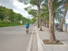 Hình ảnh Chính chủ cần bán nhà ngõ 445 lạc long quân, oto đỗ,  50m/3tầng/5tỷ