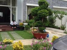 Hình ảnh Cho thuê Villa đẹp full nội thất giá rẻ