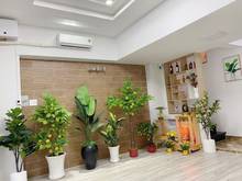 Hình ảnh Cần bán căn Thích Quảng Đức Quận Phú Nhuận giá 1 tỷ 350 sổ hồng riêng