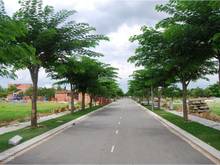Hình ảnh Đất nền GĐ2 KDC Phong Phú 5, Bình Chánh, sổ hồng riêng, gần B.Xe Quận8
