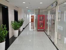 Hình ảnh Chính Chủ Cho Thuê Toà Nhà Nguyên Căn Phường Nguyễn Cư Trinh Quận 1