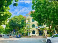 Hình ảnh Bán gấp toà nhà mặt phố linh đàm, hoàng mai 96m 5 tầng, mt6m, nhỉnh