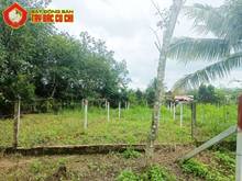 Hình ảnh Bán đất 1/ đường Trung Lập - 95m2 - 5.2x20 - 81m2 thổ cư - Củ Chi