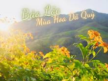Hình ảnh Đất nền biệt thự Bảo Lộc giá rẻ