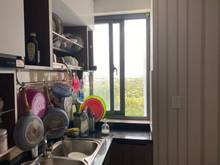 Hình ảnh Căn Hộ mới 62m2 SAIGON AVENUA Thủ Đức 2PN full NT chỉ 1.25 TỶ