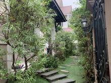 Hình ảnh Biệt thự Phạm Ngọc Thạch Quận 3 9x40m sân vườn rộng thoáng, ký dài hạn
