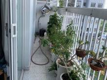 Hình ảnh Vỡ nợ bán Trang Chủ MB66.COM / Đăng Ký Tặng 66K 3PN 113m2 THE NAVITA Thủ Đức tầng cao giá 2TY720 TL