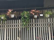 Hình ảnh Nhà Đường Nguyễn Thiện Thuật, P.1 Q.3, dt 6x10m, T,2L, giá 21.6 tỷ.