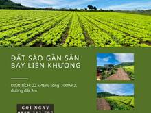 Hình ảnh 🌳🌳Đất Sào Gần Sân Bay Liên Khương - 22 x 45m - Đường Đất 3m.